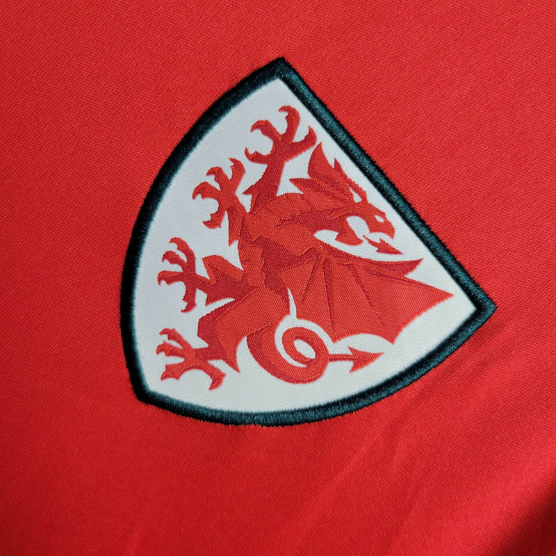 Camisa País de Gales Titular 24/25 - Torcedor - Central das Camisas