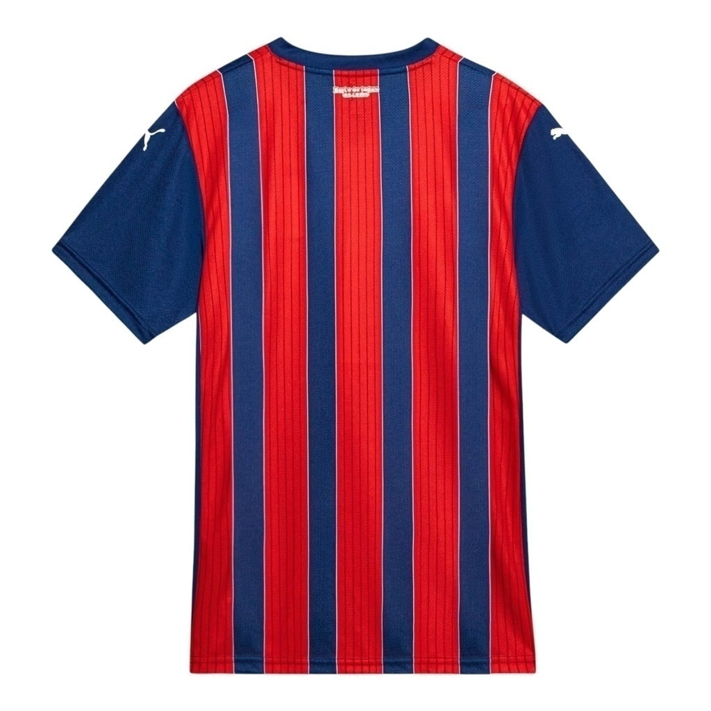Camisa Inspirada Bahia II 25/26 - Torcedor Masculina - Azul e vermelha Central das Camisas