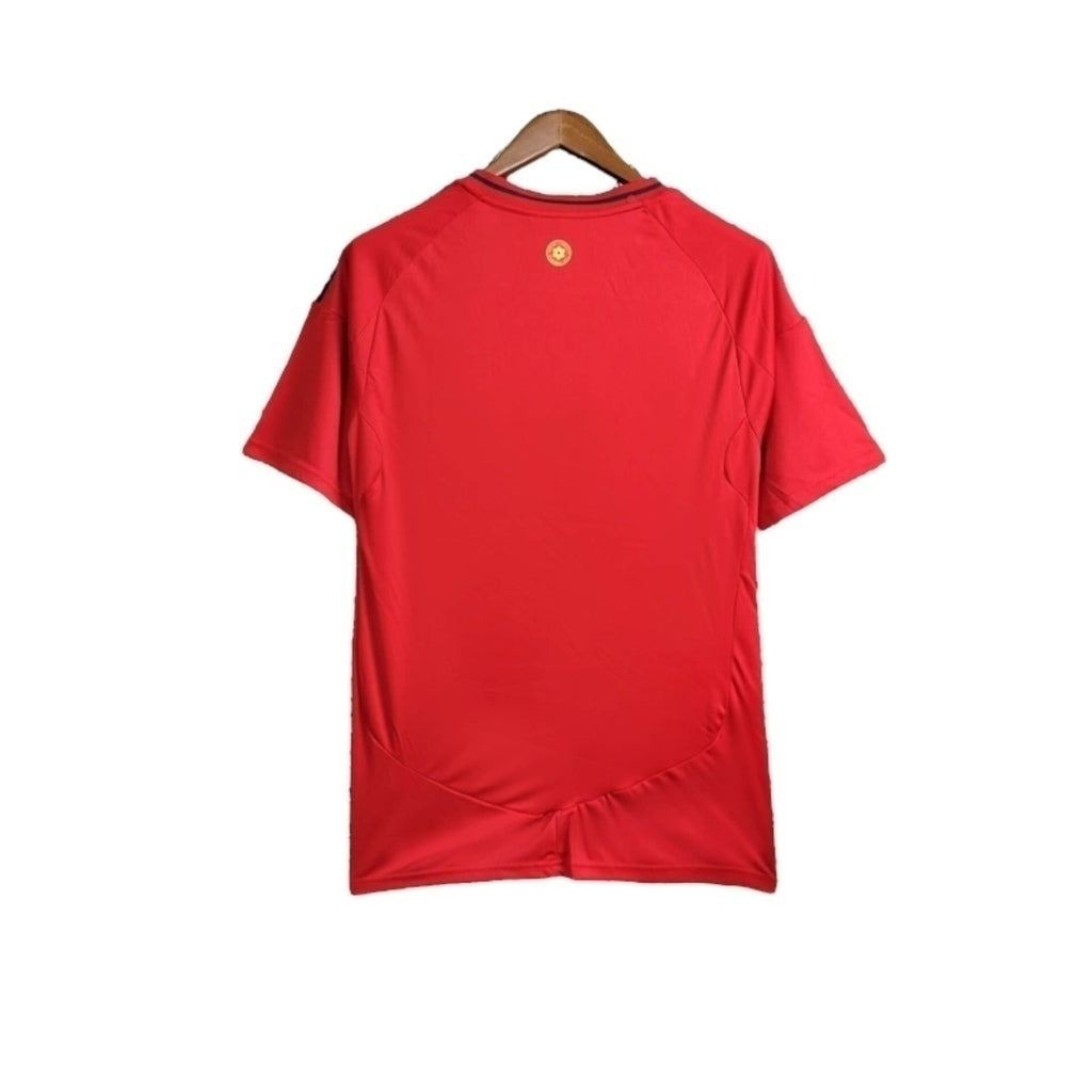 Camisa País de Gales Titular 24/25 - Torcedor - Central das Camisas
