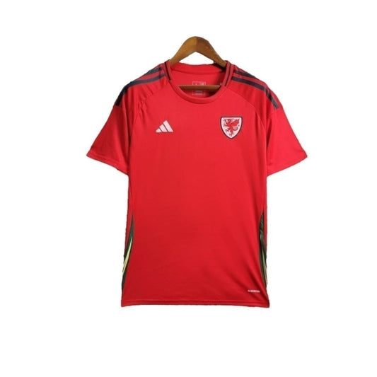 Camisa País de Gales Titular 24/25 - Torcedor - Central das Camisas