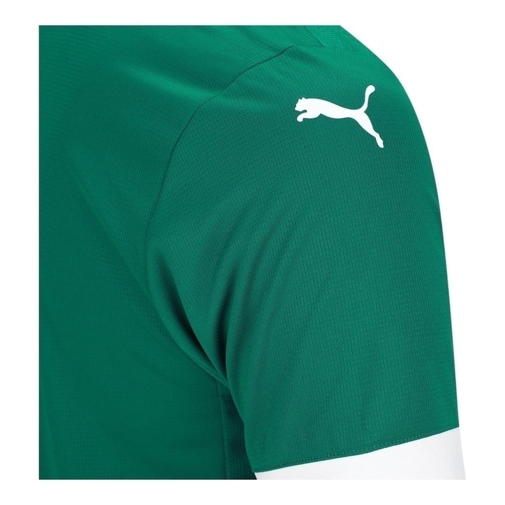 Camisa Palmeiras Titular 25/26 - Torcedor - Central das Camisas