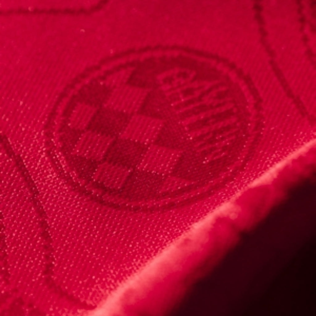 Camisa Bayern de Munique Ed. Aniversário 125 anos 25/26 - Torcedor - Central das Camisas