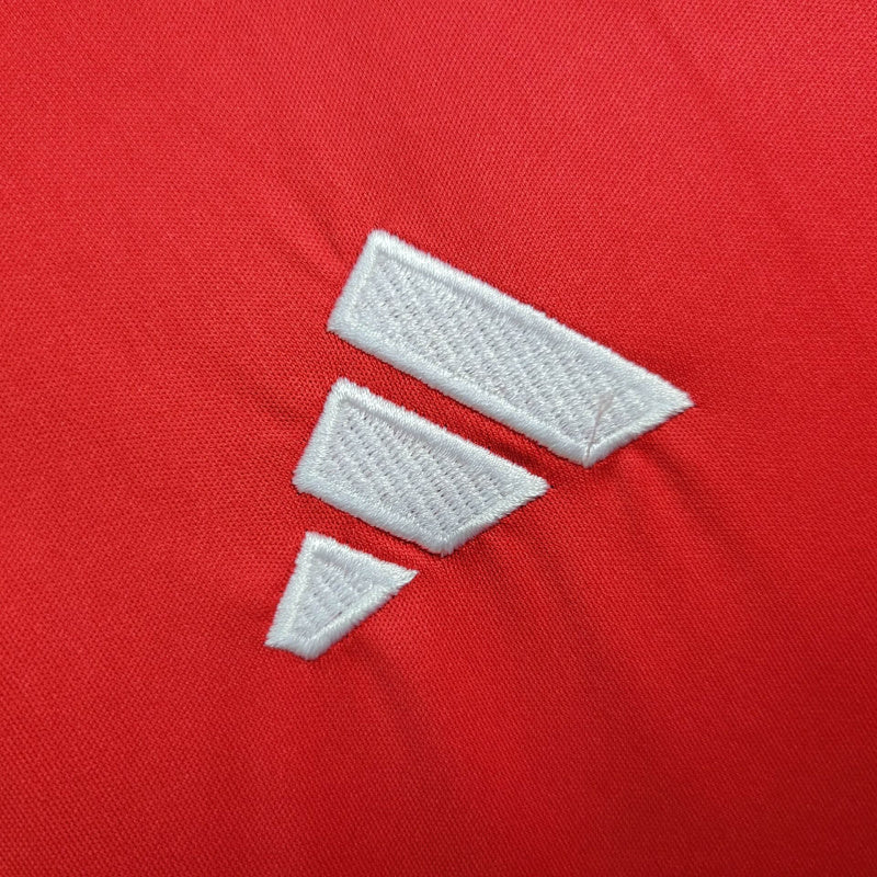 Camisa País de Gales Titular 24/25 - Torcedor - Central das Camisas