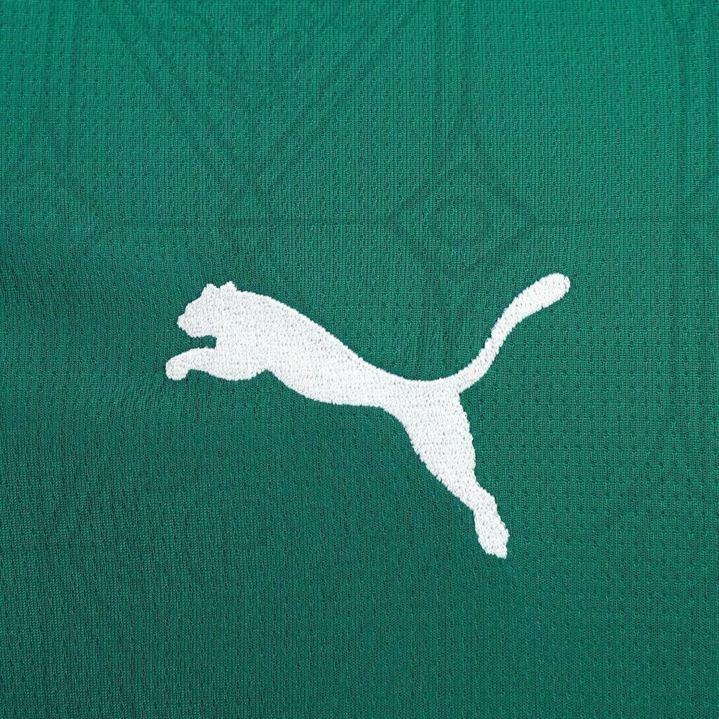 Camisa Palmeiras Titular 25/26 - Torcedor - Central das Camisas