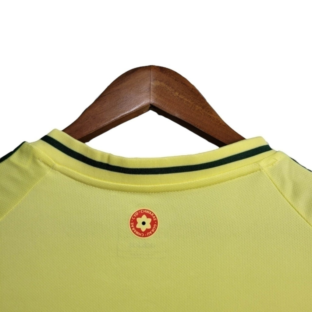 Camisa País de Gales Visitante 24/25 - Torcedor - Central das Camisas