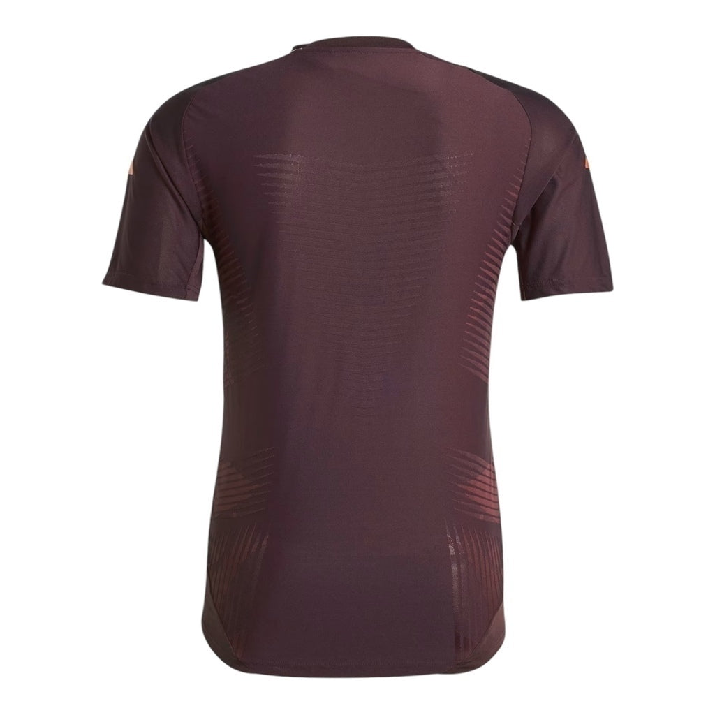 Camisa Bayern de Munique Treino 24/25 - Torcedor - Central das Camisas