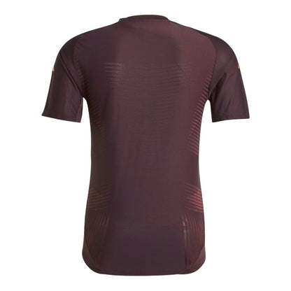 Camisa Bayern de Munique Treino 24/25 - Torcedor - Central das Camisas