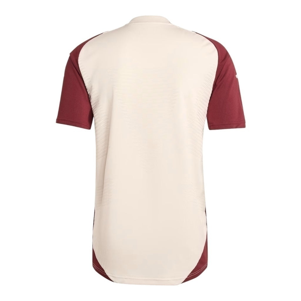 Camisa Bayern de Munique Treino 24/25 - Torcedor - Central das Camisas