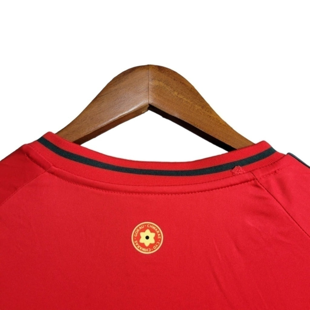 Camisa País de Gales Titular 24/25 - Torcedor - Central das Camisas