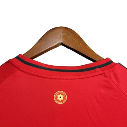 Camisa País de Gales Titular 24/25 - Torcedor - Central das Camisas