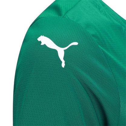 Camisa Palmeiras Titular 25/26 - Feminina - Central das Camisas